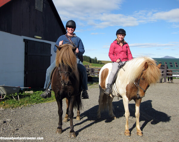 Iceland Horseback Riding