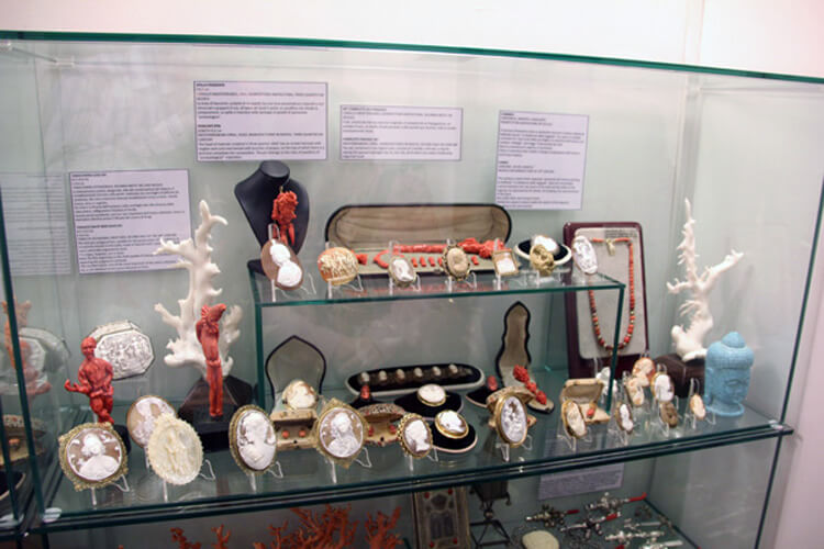 A display of various cameos at the Museo Corallo in Ravello