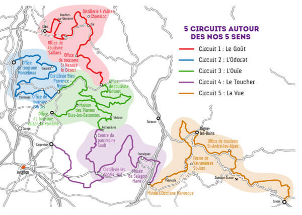 Champs de Lavande! - Jdomb's Travels