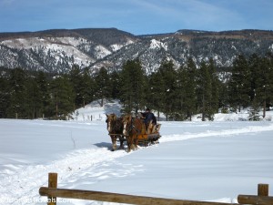 Sleigh ride in Durango, Colorado