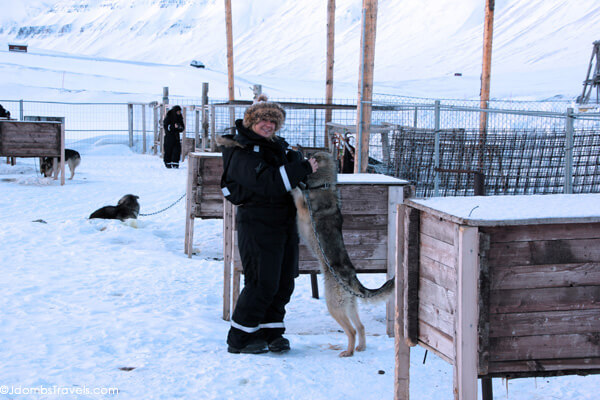 Dog sledding Svalbard