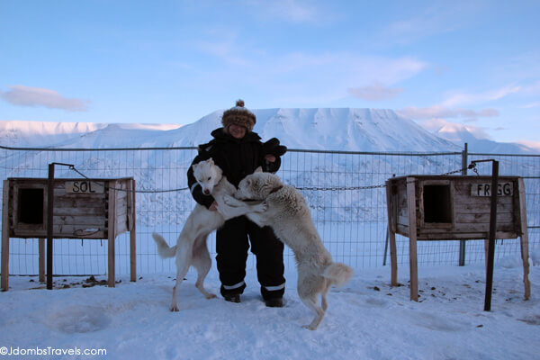 Dog sledding Svalbard