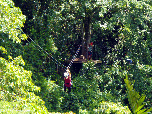 Zip Line Adventure in Antigua - Luxe Adventure Traveler