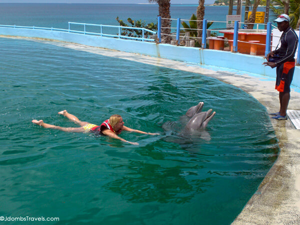 Dolphin Discovery Anguilla