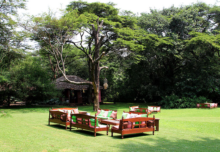 Outdoor cafe with tables and sofas set on the lawn at Burka Coffee Estate