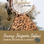Luxury Tanzania Safari with SkySafari by Elewana Pinterest pin