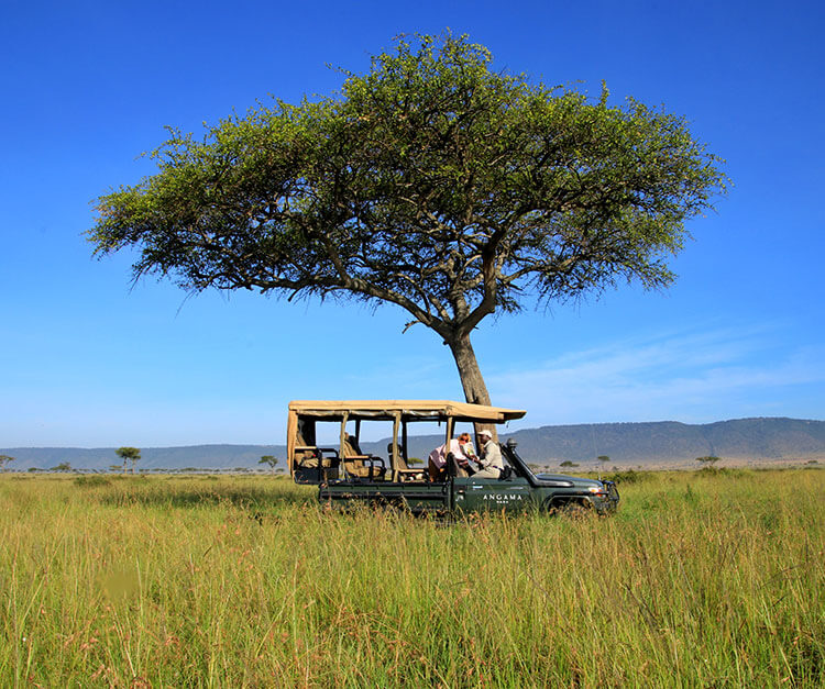 Jennifer and her Angama Mara guide identifying a bird in a book together in the Angama Mara safari vehicle while parked under a tree in the Masai Mara