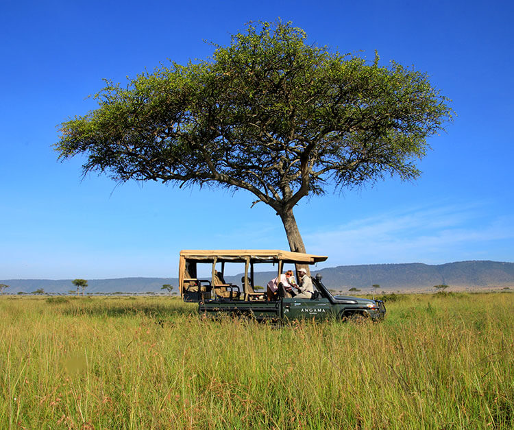 Africa, Kenya, Maasai Mara. A colorful display of fabrics and