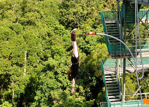Bungy jumping in Australia