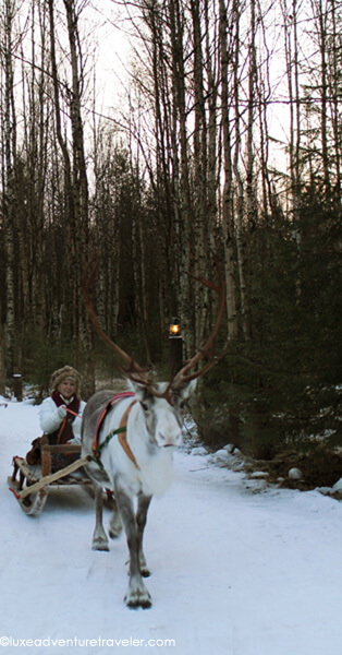 Reindeer Sledding in Rovaniemi
