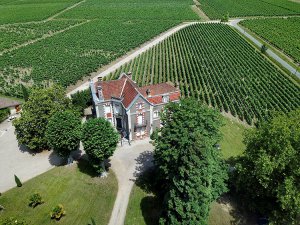 Drone aerial of Chateau Cantenac surrounded by grape vines