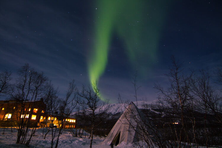 Green Northern Lights appear in a flame like pattern above a Sami lavvu in Abisko, Sweden