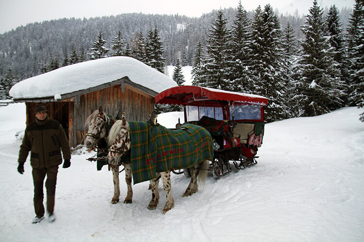 Horse drawn sleigh ride in Filzmoos, Austria