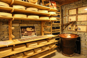 Bitto Storico: The Oldest Edible Cheese in the World - Luxe Adventure