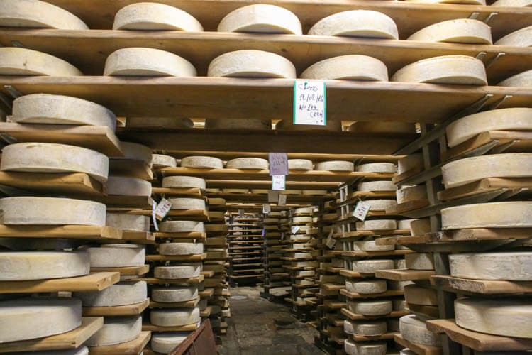 Wheels of Cheese at Crotto Ombra