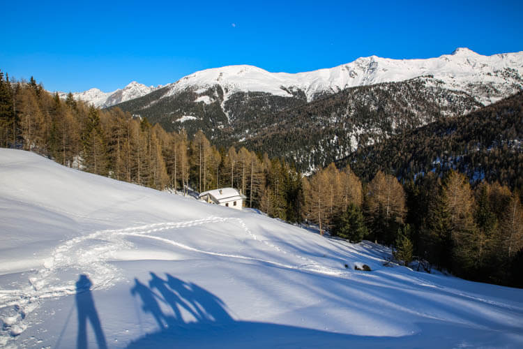 Alta Valtellina Snowshoeing 