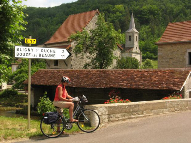 Cycling the vineyards of Burgundy