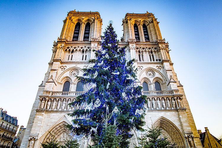 A Christmas tree stands outside the Notre Dame Cathedral in Paris France