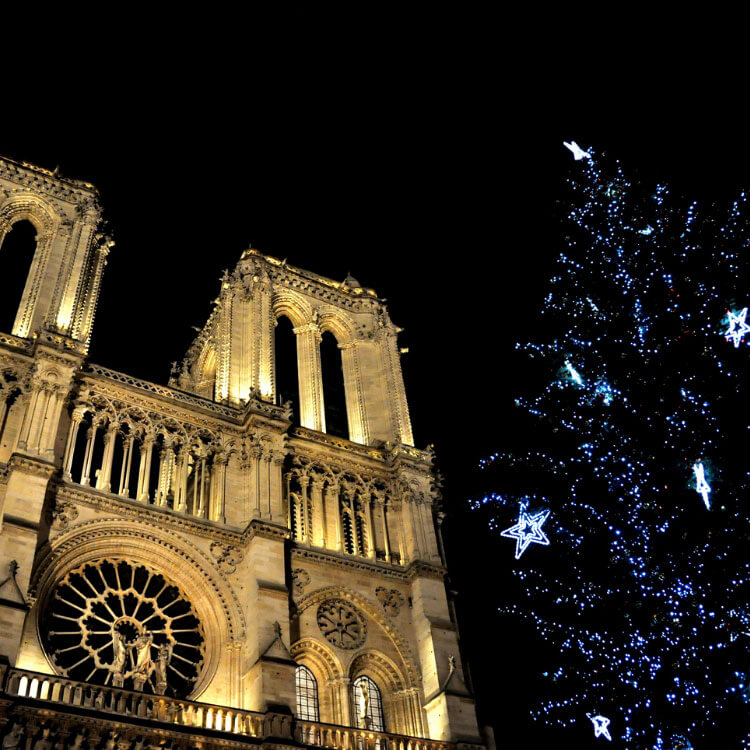 Notre Dame and the Christmas tree light up at nighttime in Paris, France