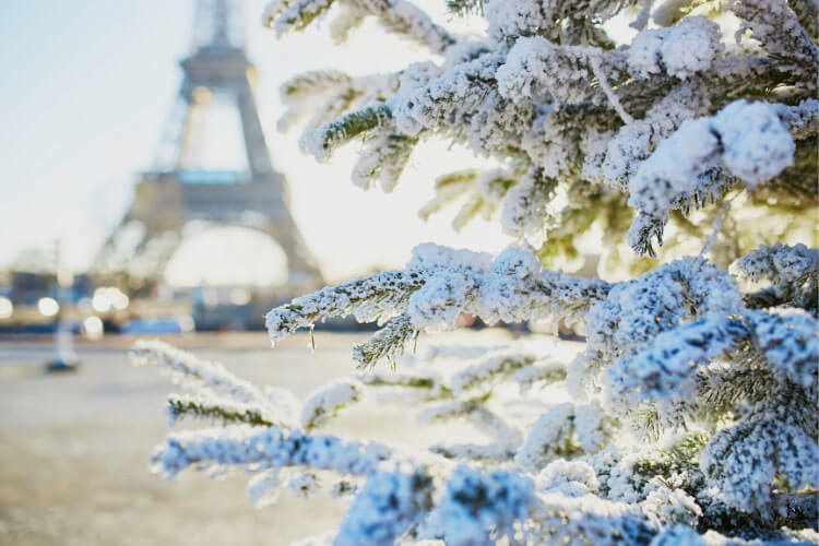 A rare snow in Paris dusts a fir tree near the Eiffel Tower in Paris, France