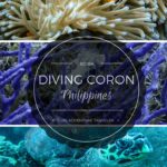 Diving Coron, Philippines
