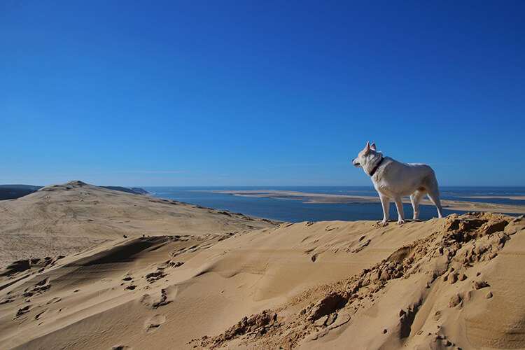 Dune du Pilat