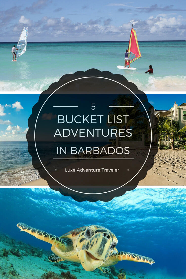 5 Adventures for Your Barbados Bucket List - Luxe Adventure Traveler