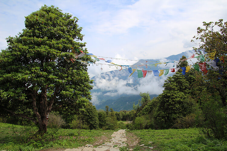 Ghorepani Trek, Annapurna, Nepal