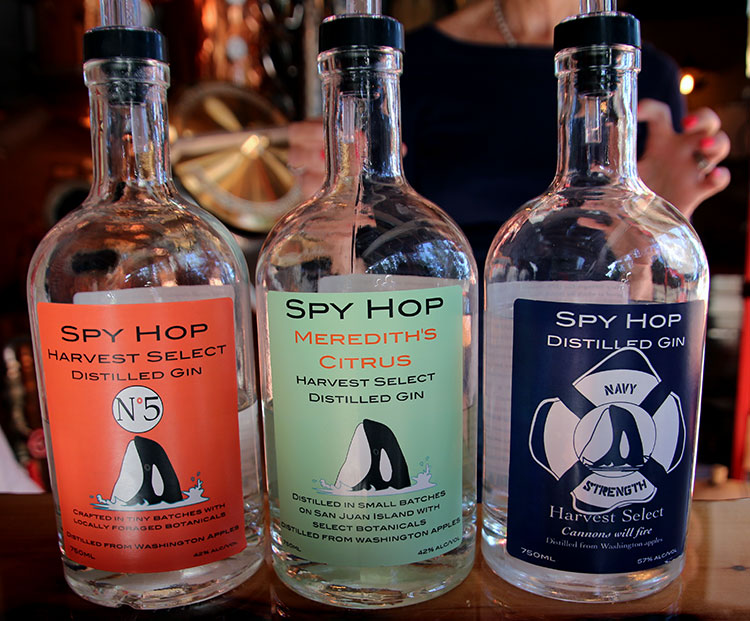 Spy Hop Gins at San Juan Island Distillery