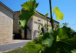 Peeking through the vines with Château Ambe Tour Pourret across the road