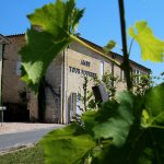 Crémant de Bordeaux Sunday Brunch at Château Ambe Tour Pourret