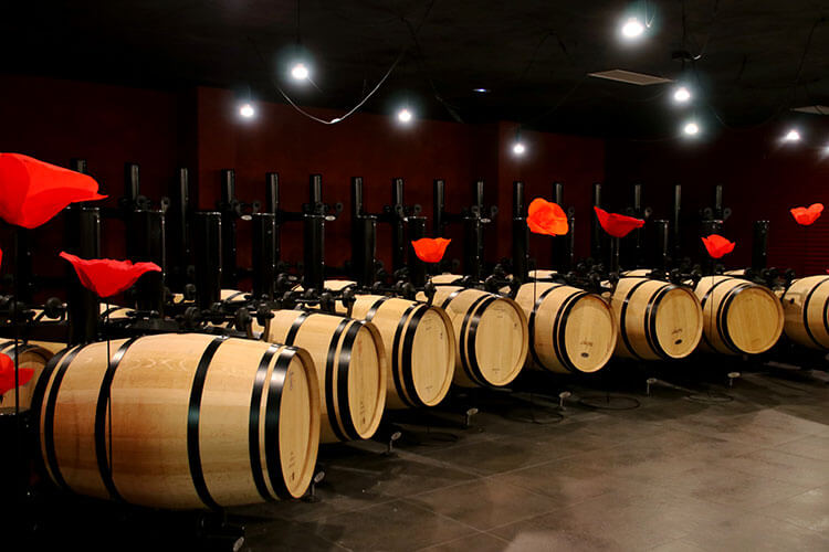 One barrel room with a curved line of barrels and decorated with giant red poppies between the barrels at Chateau La Dominique