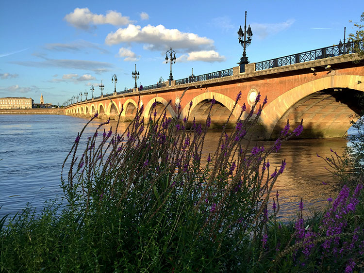 Lavender grows along the quay with the arches of the Pont du Pierre in the background