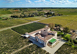Aerial drone photo of the small castle and surrounding vineyards