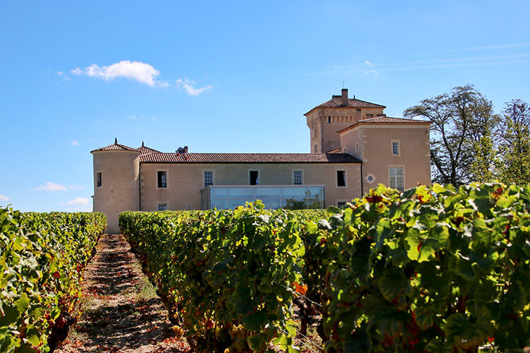 The chateau seen from the vineyard