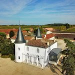 Vitishow: Interactive Wine Tasting Experience at Château de Seguin