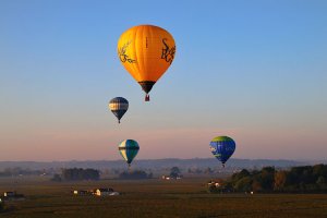 Four hot air balloons at sunrise rising over the vineyards of Saint-Emilion in the Bordeaux wine region