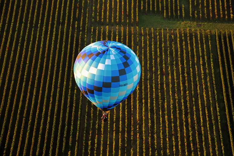 A blue checked balloon with plots of vineyards stretching out below it in Saint-Émilion