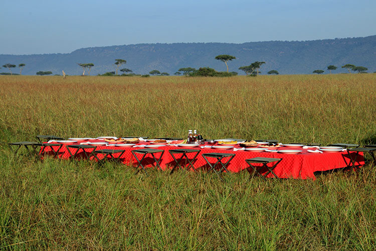 A long table is set up for the bush breakfast after hot air ballooning in the Masai Mara