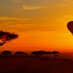 A hot air balloon floats at sunrise with acacia trees silhouetted black against an orange sky at sunrise in the Masai Mara