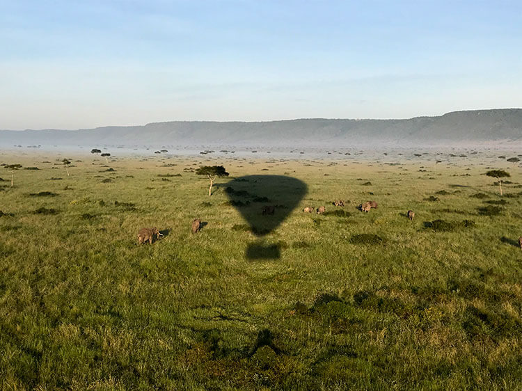 The hot air balloon's shadow passes over a herd of elephants in the Masai Mara