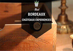 Best Bordeaux Chateaux to Visit