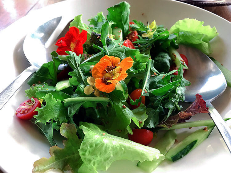 A garden salad with edible flowers picked from The Emakoko's garden