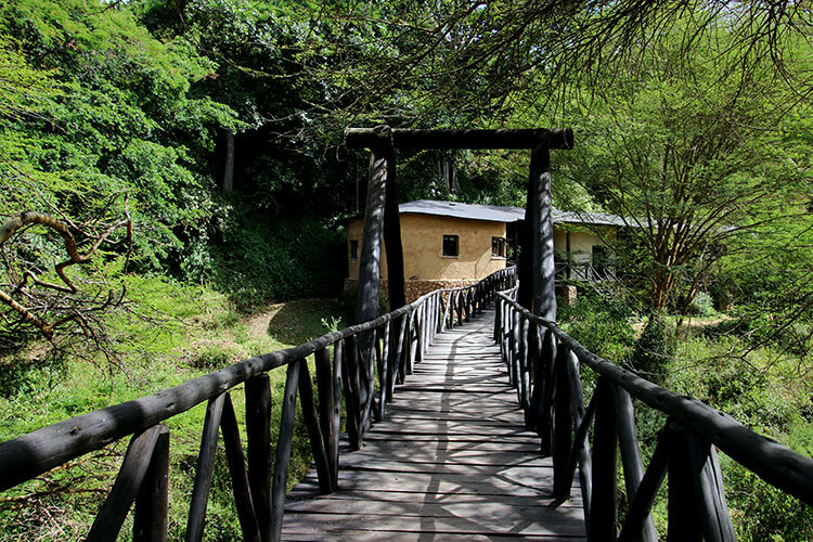 The wooden bridge and entrance stretching toward The Emakoko 