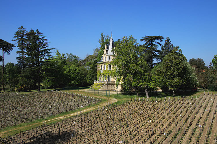 The view of the vineyard and 19th century château from the rooftop of the winery at Château Les Carmes Haut-Brion