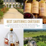 Best Sauternes Châteaux to Visit in Bordeaux, France Pinterest Pin