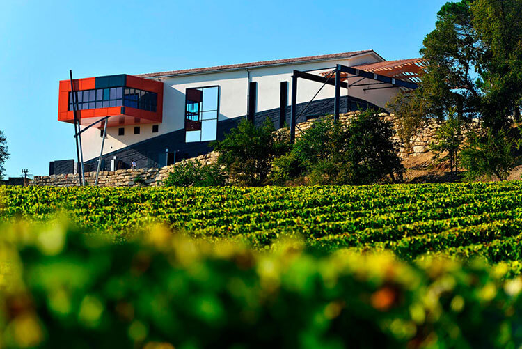 A view of the modern tasting room that juts out from the winery as seen from the vineyard at Château La Croizille