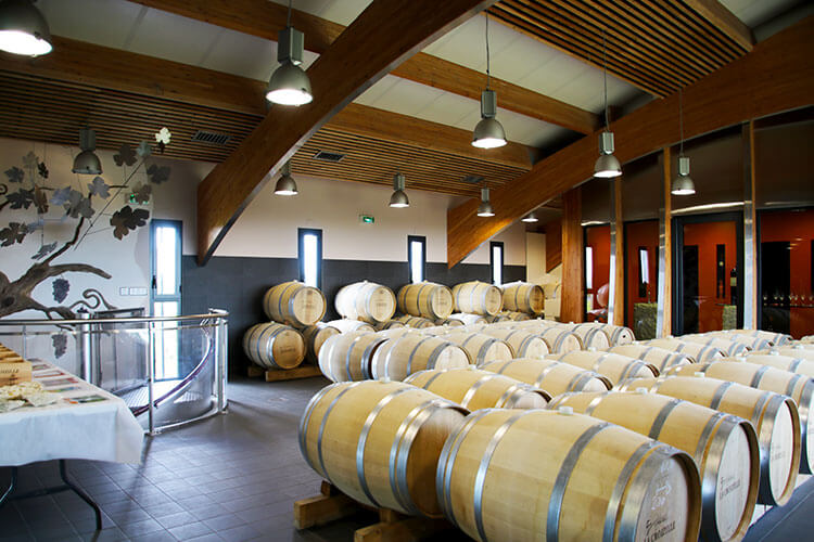 A sculpture of a grape vine made out of metal is among the French oak barrels in Château La Croizille's barrel room