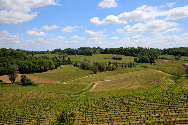 The view over the terraced vineyards at Château La Croizille