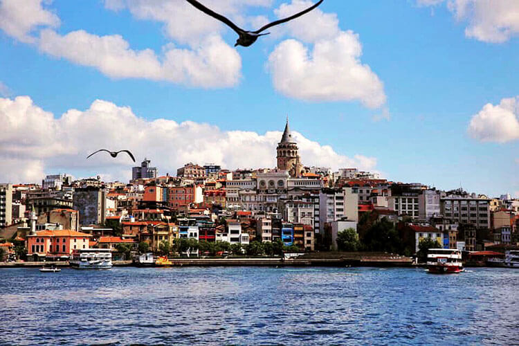 Istanbul seen from a Bosphorus Strait cruise